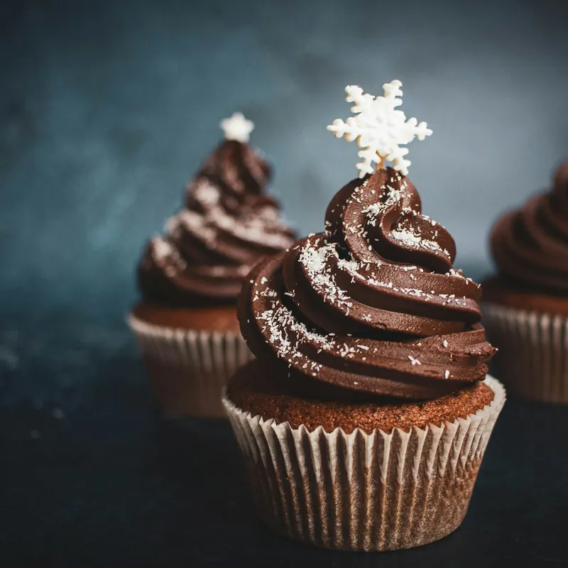 Chocolate-frosted cupcakes, one topped with a sugar snowflake